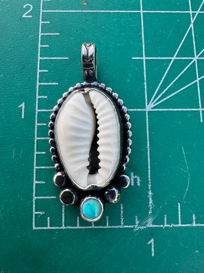 Cowry coastal keepsake