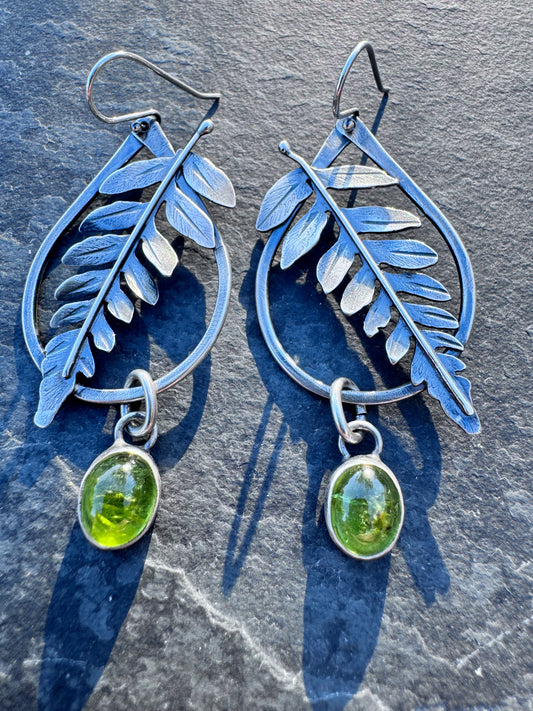 Fern lovers