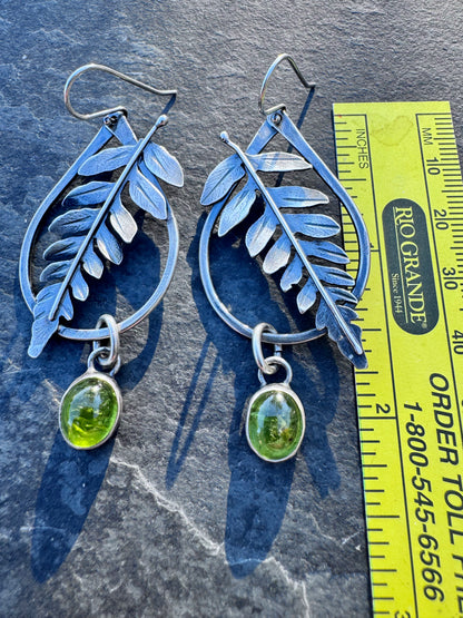 Fern lovers
