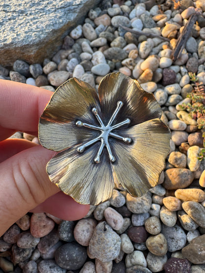Golden poppy