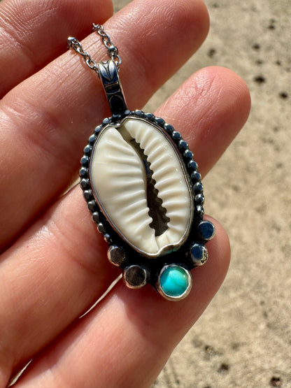 Cowry coastal keepsake