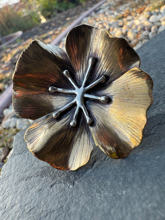 Golden poppy