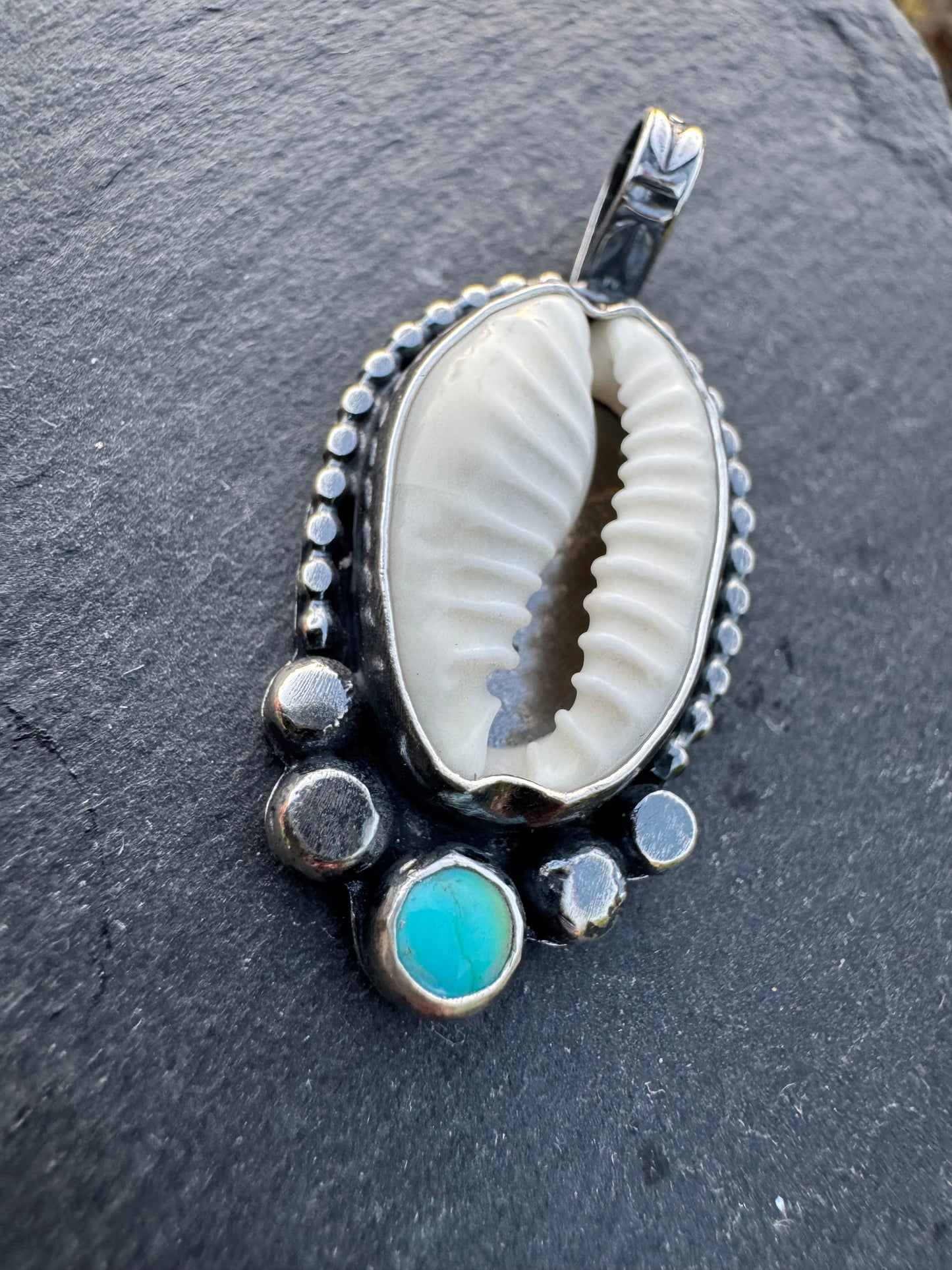 Cowry coastal keepsake